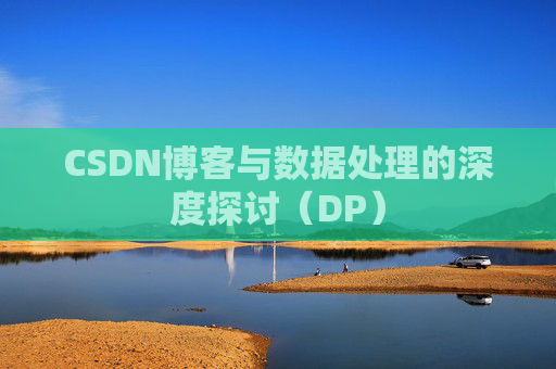 CSDN博客与数据处理的深度探讨（DP）