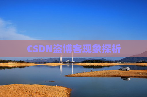 CSDN盗博客现象探析